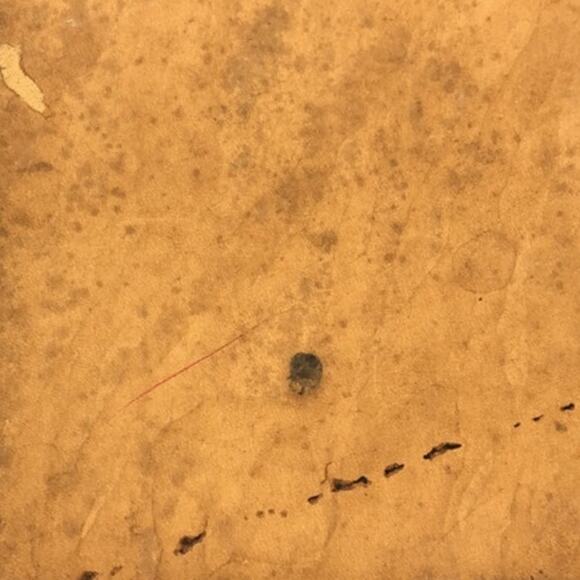 💎✨BEAUTIFUL✨💎Authentic Louis Vuitton Monogram Cabas Mezzo - Picture 11 of 15